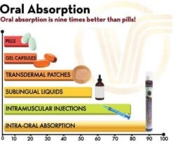 Oral Absorption